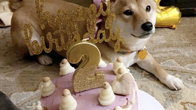 Do you celebrate your pets birthday?