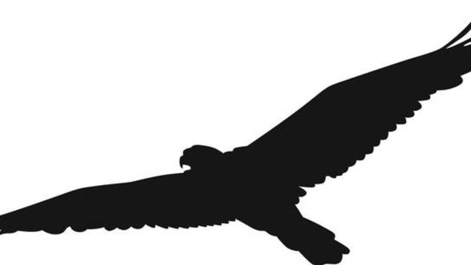 What does the phrase “The falcon cannot hear the falconer” symbolize for you?