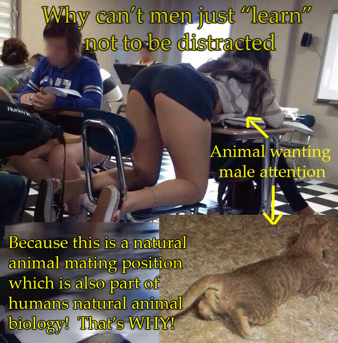 Are girls' legs distracting?