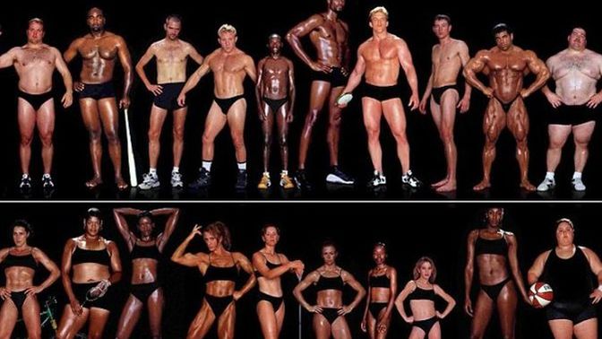 Which one of the following body types are you?