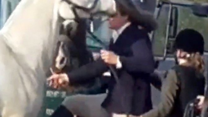 Thoughts on the Ex teacher who was caught kicking and slapping a horse?