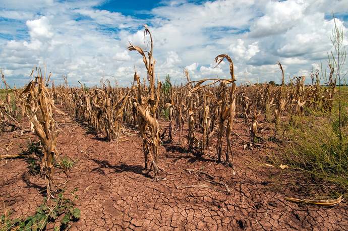 How would you react and behave during food and water scarcity, would you remain honest and civil, become violent, discouraged or what exactly?