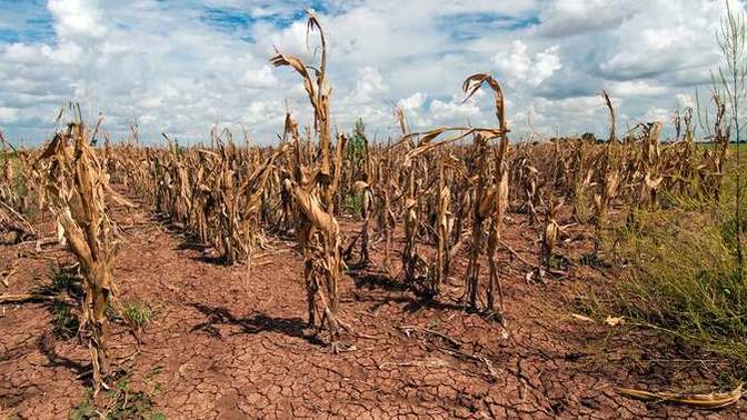 How would you react and behave during food and water scarcity, would you remain honest and civil, become violent, discouraged or what exactly?