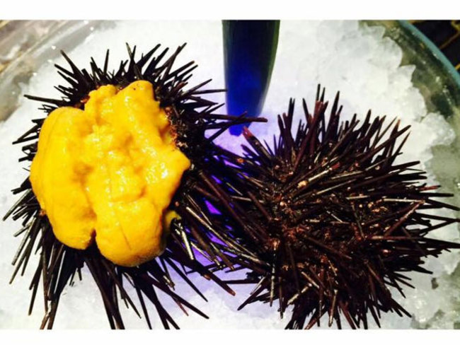 What is the weirdest thing that you have ever eaten?