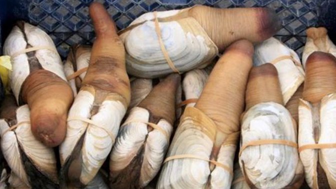 What is the weirdest thing that you have ever eaten?