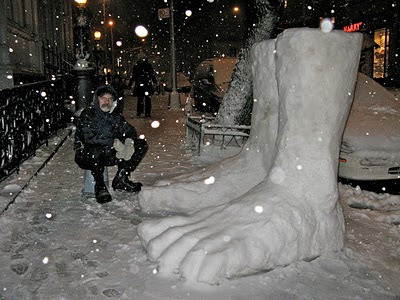 Do you like blizzards?