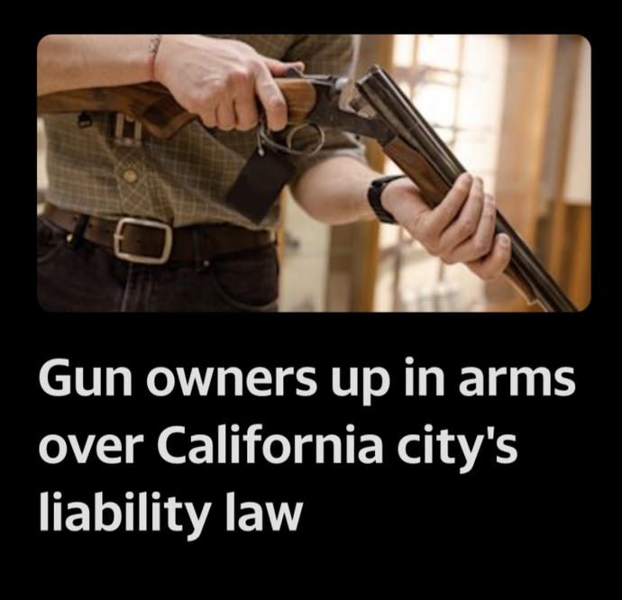 Should gun owners be forced to buy liability insurance?