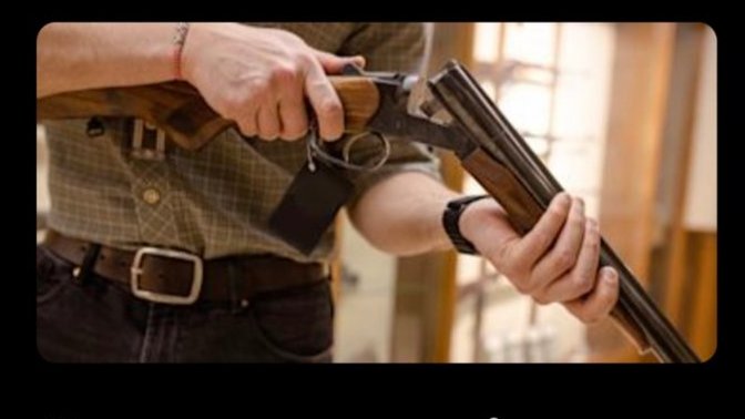 Should gun owners be forced to buy liability insurance?