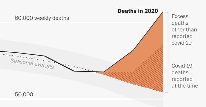 Do you think the actual death toll of COVID-19 was more or less than what had been reported?