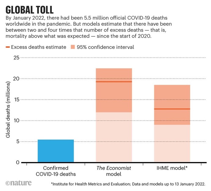 Do you think the actual death toll of COVID-19 was more or less than what had been reported?