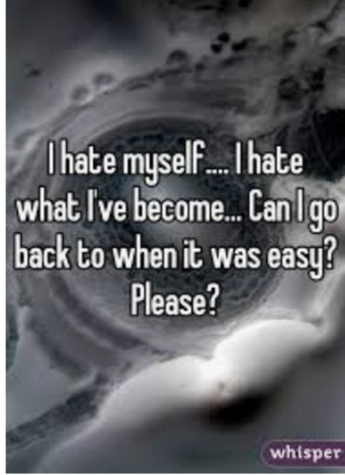 Do You Like/Love or Hate the person youve become?