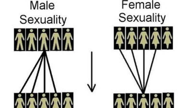 Hypergamy: Women never date men poorer, shorter, or better looking than them. True or False?