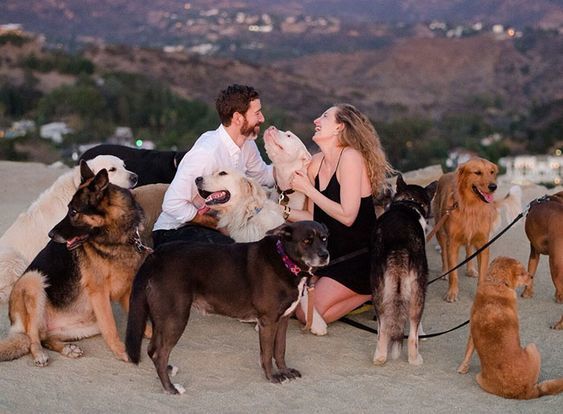 In a relationship which do you prefer? A lot of pets and no kids, or a lot of kids and no pets?