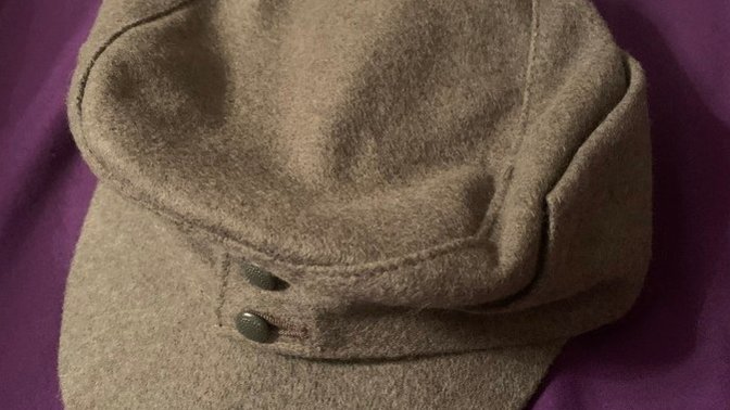 Would you be offended if someone wore an M43 feldmütze without any insignia in public?
