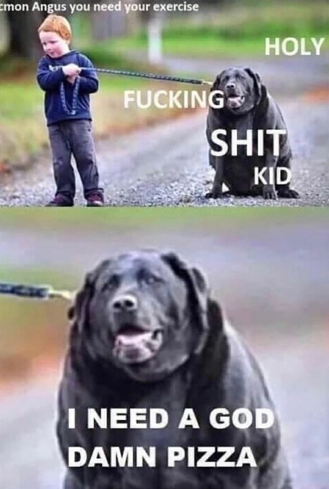 What's a meme that perfectly describes you?