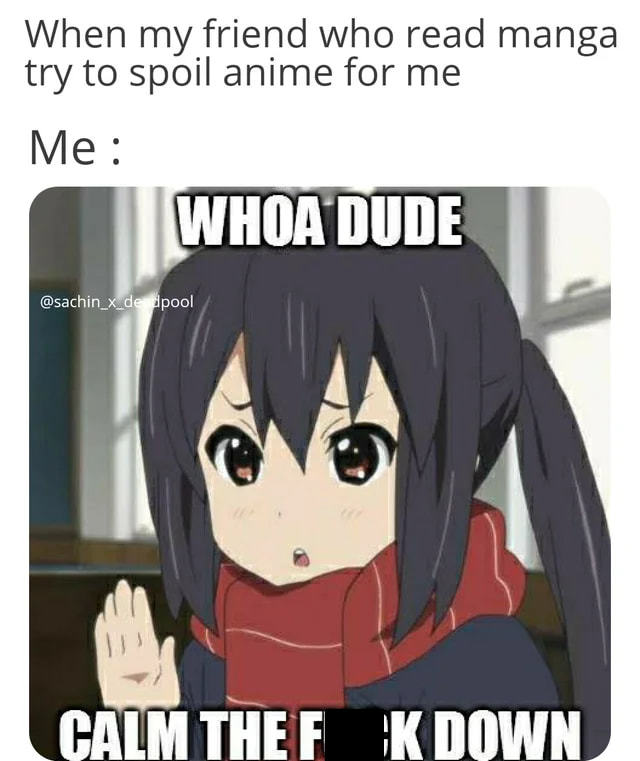 What's a meme that perfectly describes you?