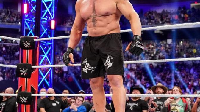 What kind of muscle definition does Brock Lesnar have? Is it bulky or lean muscle?