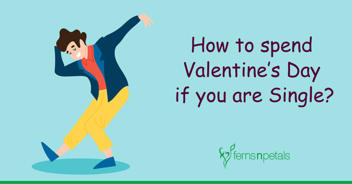 How to spend Valentine’s Day if you are Single?