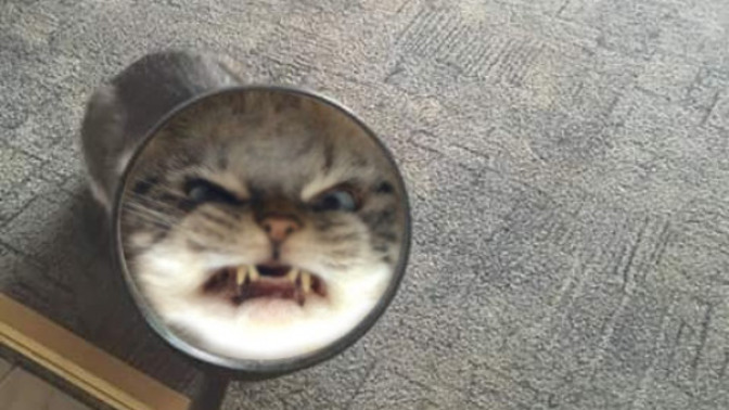 What are some great examples of awful assholes?