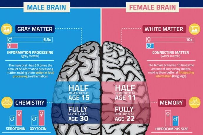 Do mens brain work totally different than womans brain and vice-versa?