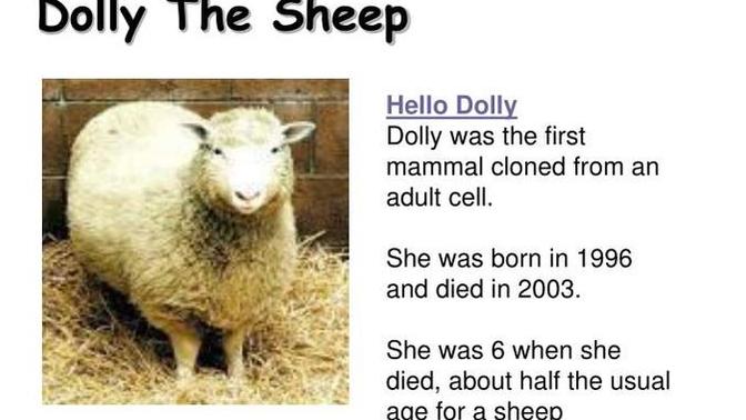 In 1996, a Danish embryologist cloned a sheep and named her Dolly. Do you think they can clone humans now?