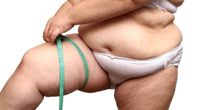 Why do some guys like fat women?