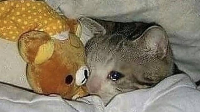 Why do I receive more attention online than in person?
