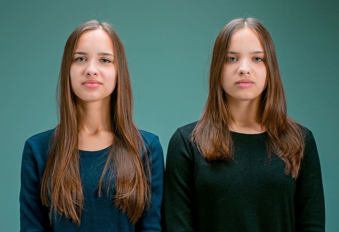 Would you ever want to have a twin?
