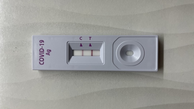 What are or were your Covid 19 infection symptoms?