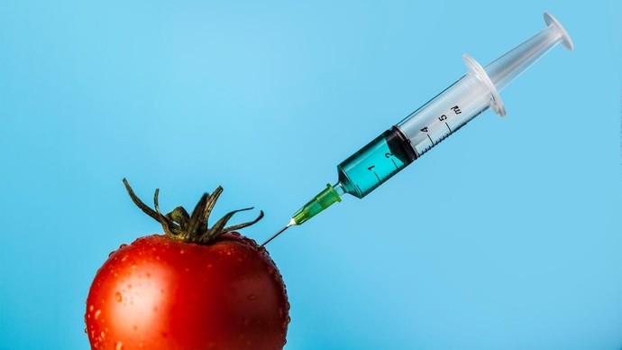 How do you feel about genetically modified foods?