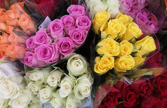 Ladies, how do I pick roses for my coworkers on V-Day?