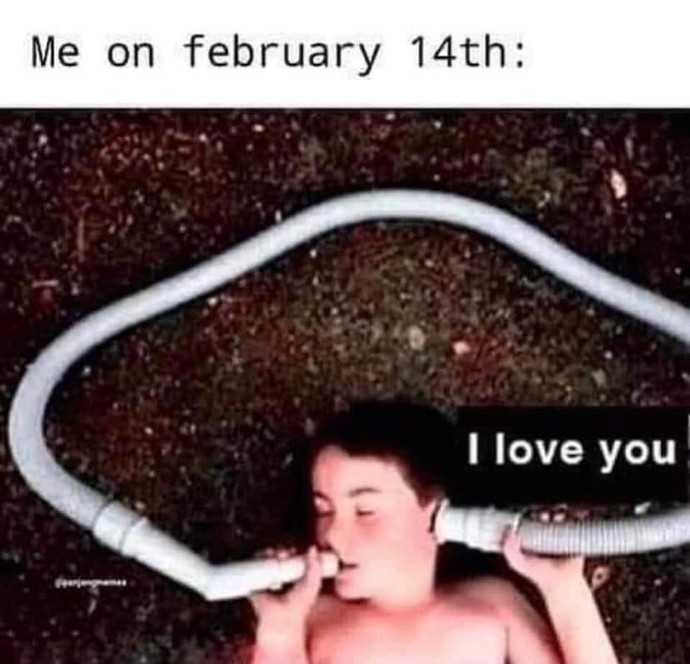 What is everyone one doing for Valentine's day?