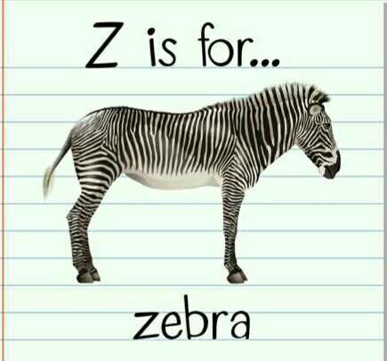 How do you pronounce Z?