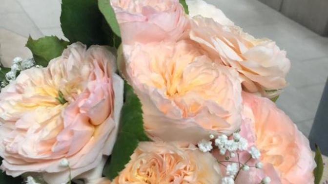 Which is the best bouquet? (For Valentine's Day)?