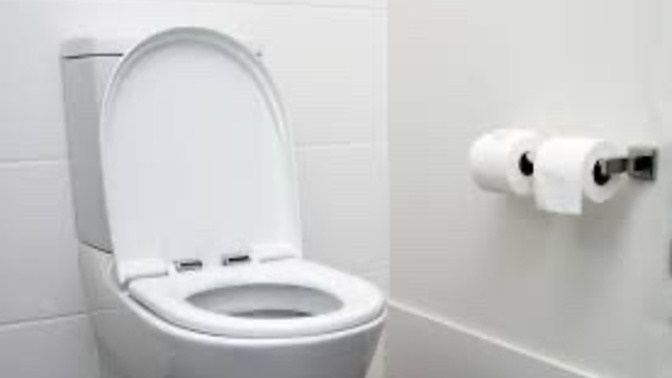 Does Trump’s toilet fetish indicate the rumored Pee tape exists?