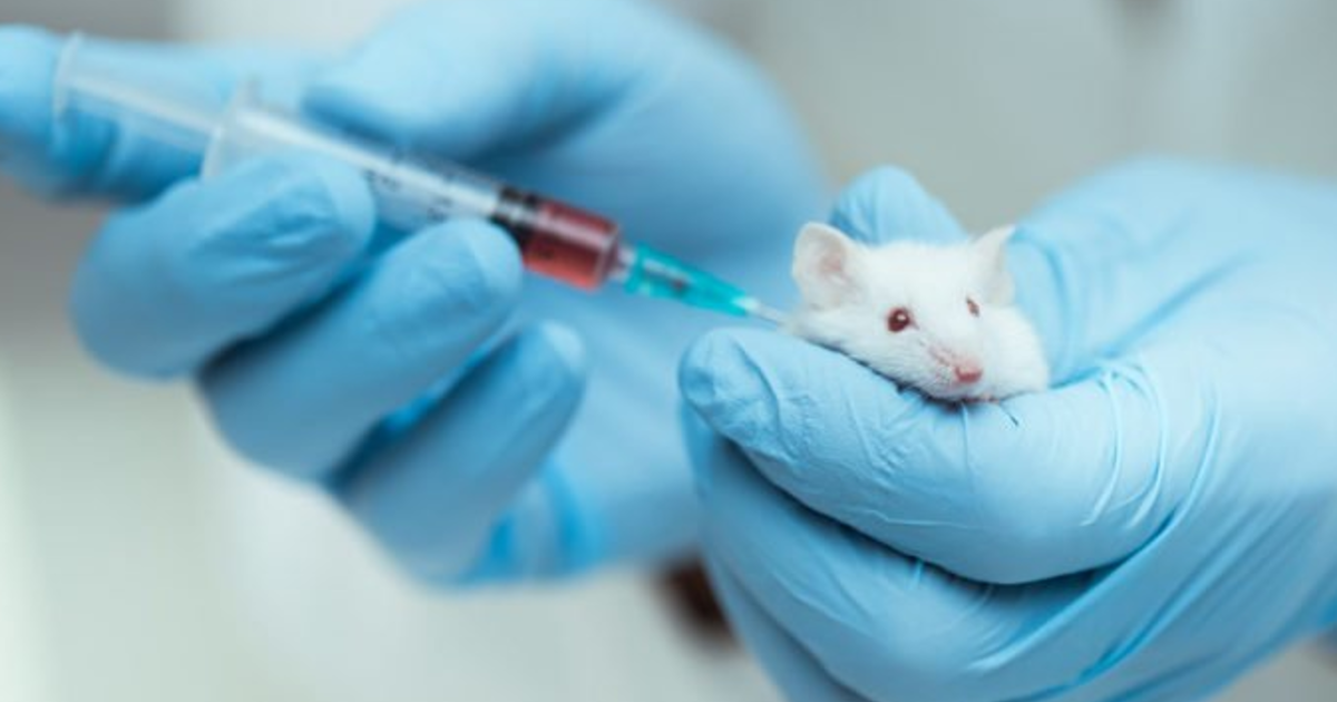 Is animal testing GirlsAskGuys