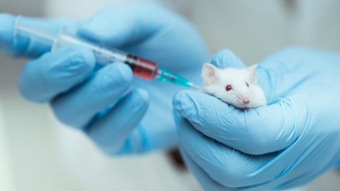 Is animal testing unethical?