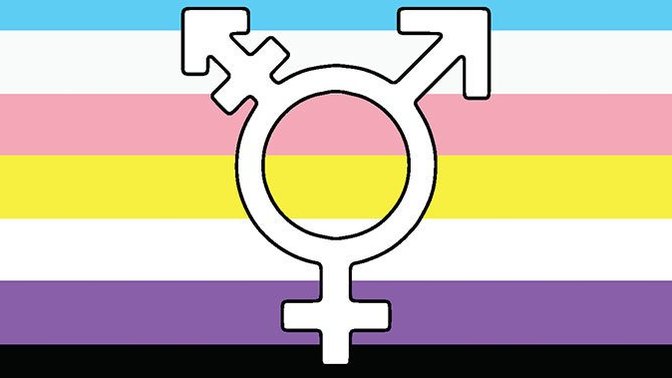 Your young child or young teen comes to you and tells you they desire to identify themselves as non-binery gender, what would be your reaction?