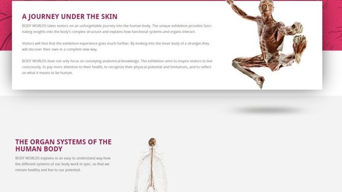 Has anyone seen the BodyWorld exhibition when it came to your area?