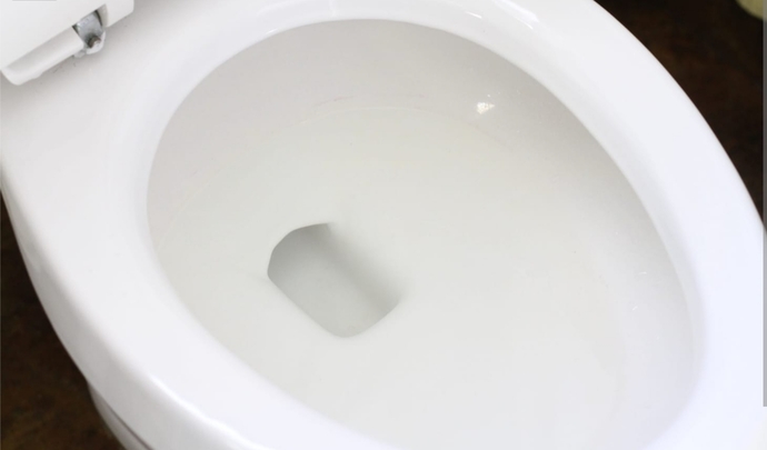 How often do you poop?