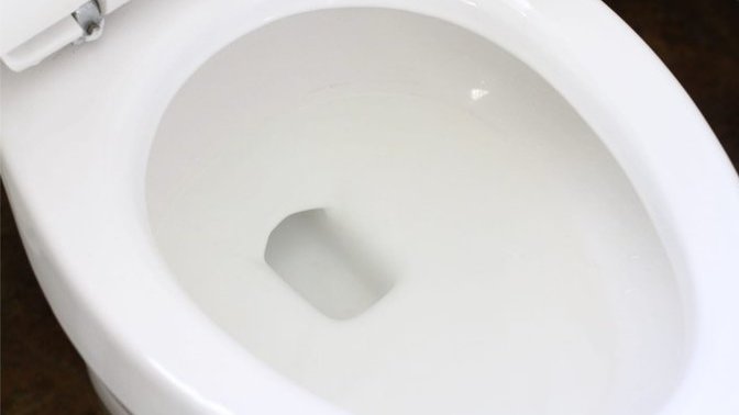 How often do you poop?