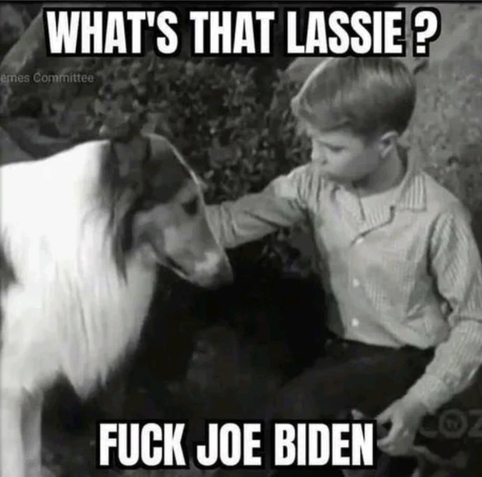 How can you possibly defend this lunatic Joe Biden?