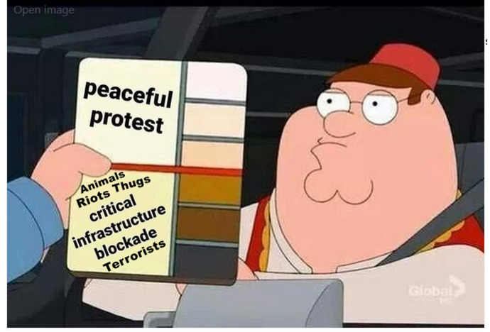 Does it trouble anyone else that Right Wingers embrace trucker’s civil disobedience but denounce BLM?