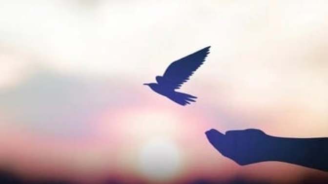 Should I free myself from everything?