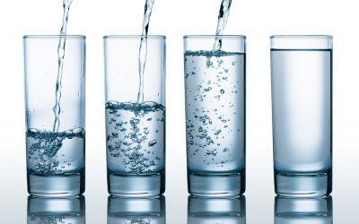 How much water do you drink each day?