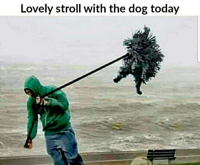 How are you spending Storm Eunice?