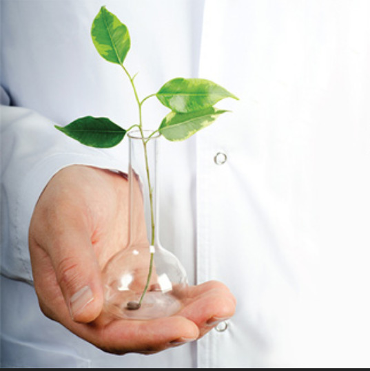 Do you prefer modern medicine or are you more holistic?  Why?