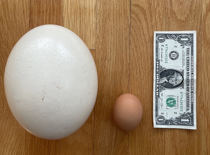 Ladies would you rather?