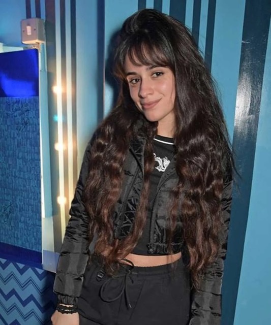 Is beauty in the eye of the beholder? Do you think Camila Cabello is pretty?