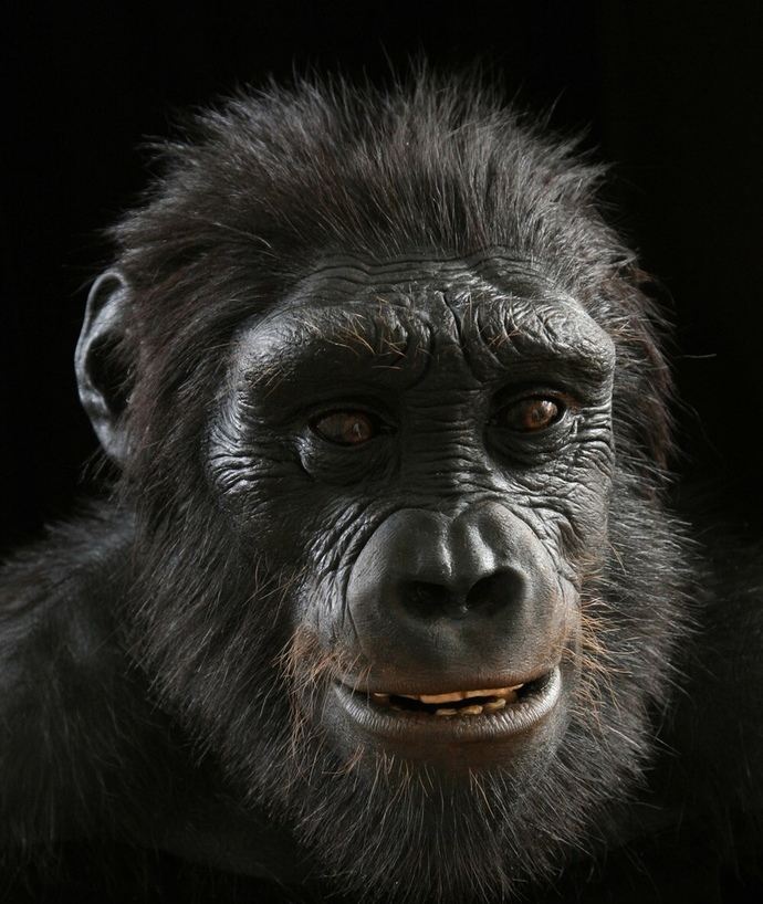 If evolution is ever proven to be 100% correct, would that mean God does not exist? How would this impact society on all levels?